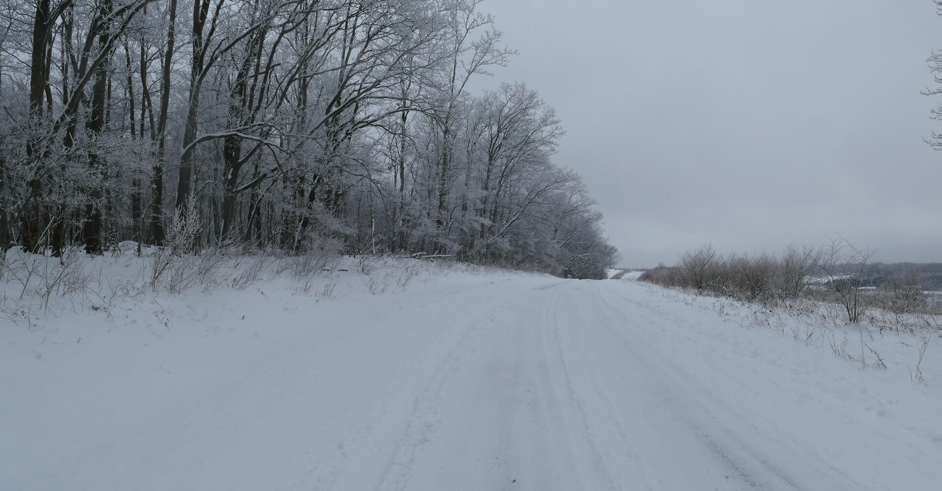 Community Road - winter