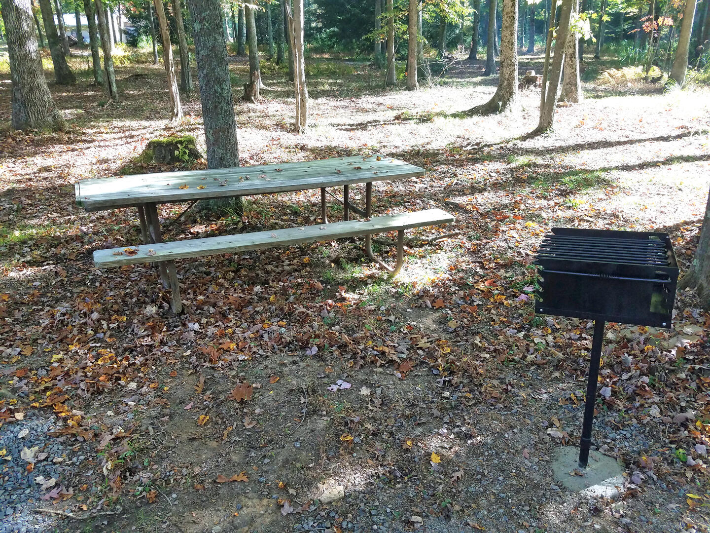 Picnic Table and Grill