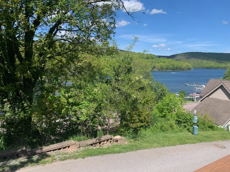 Lake Views2 - Summer