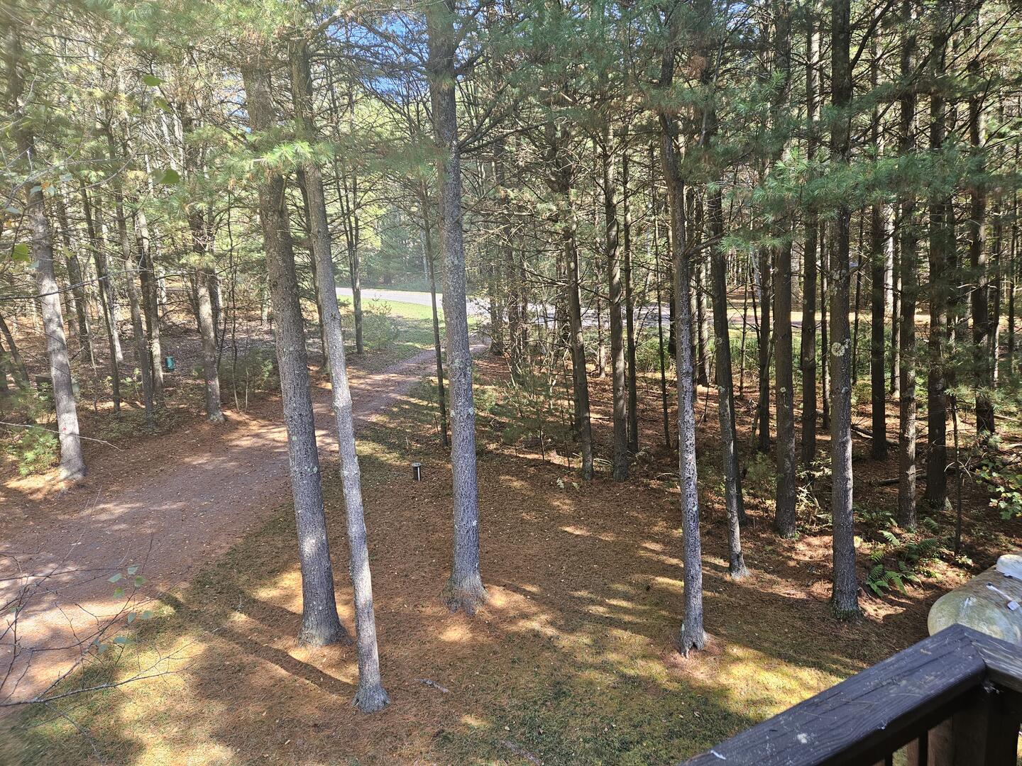 Driveway from balcony