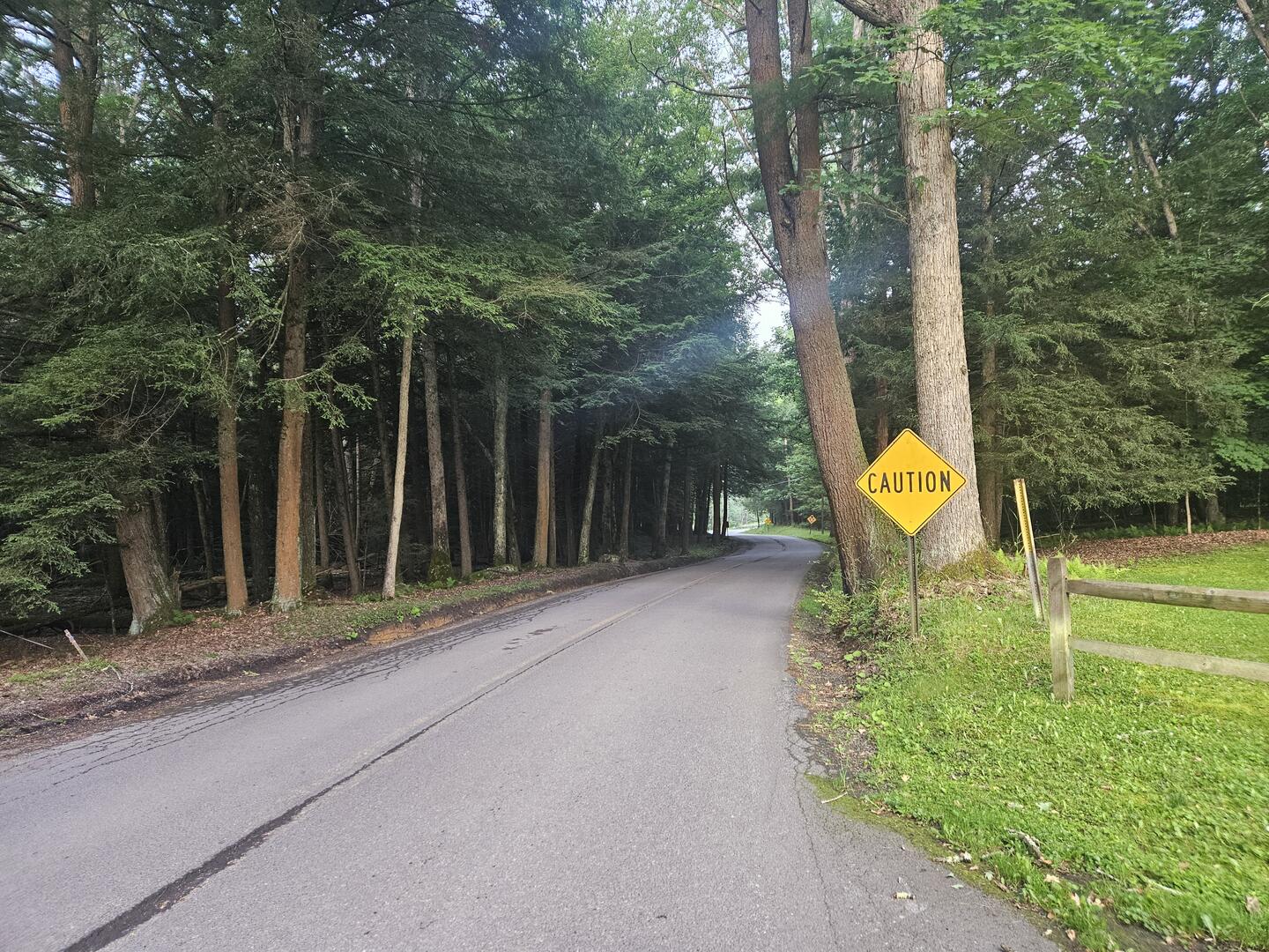 Lane to State Park