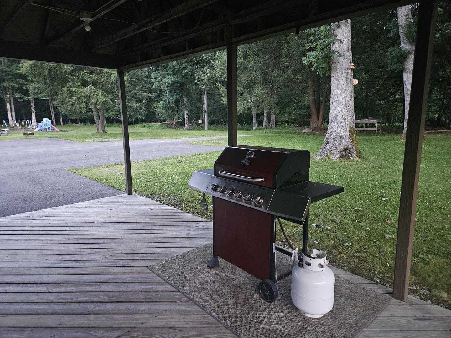 grill and back yard
