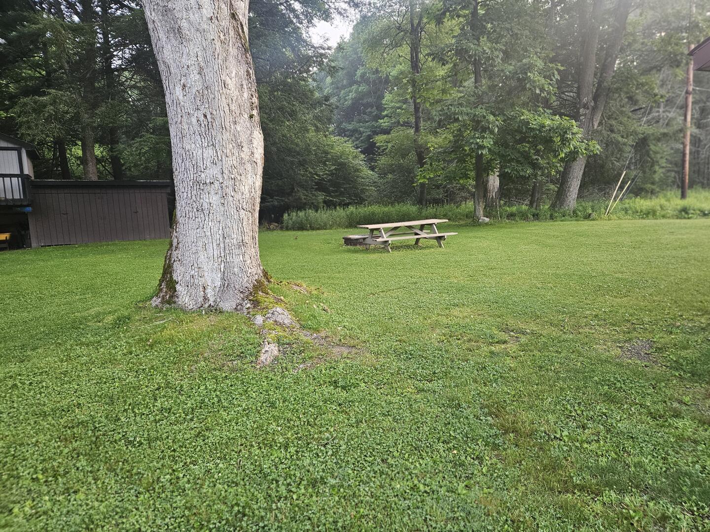 picnic table
