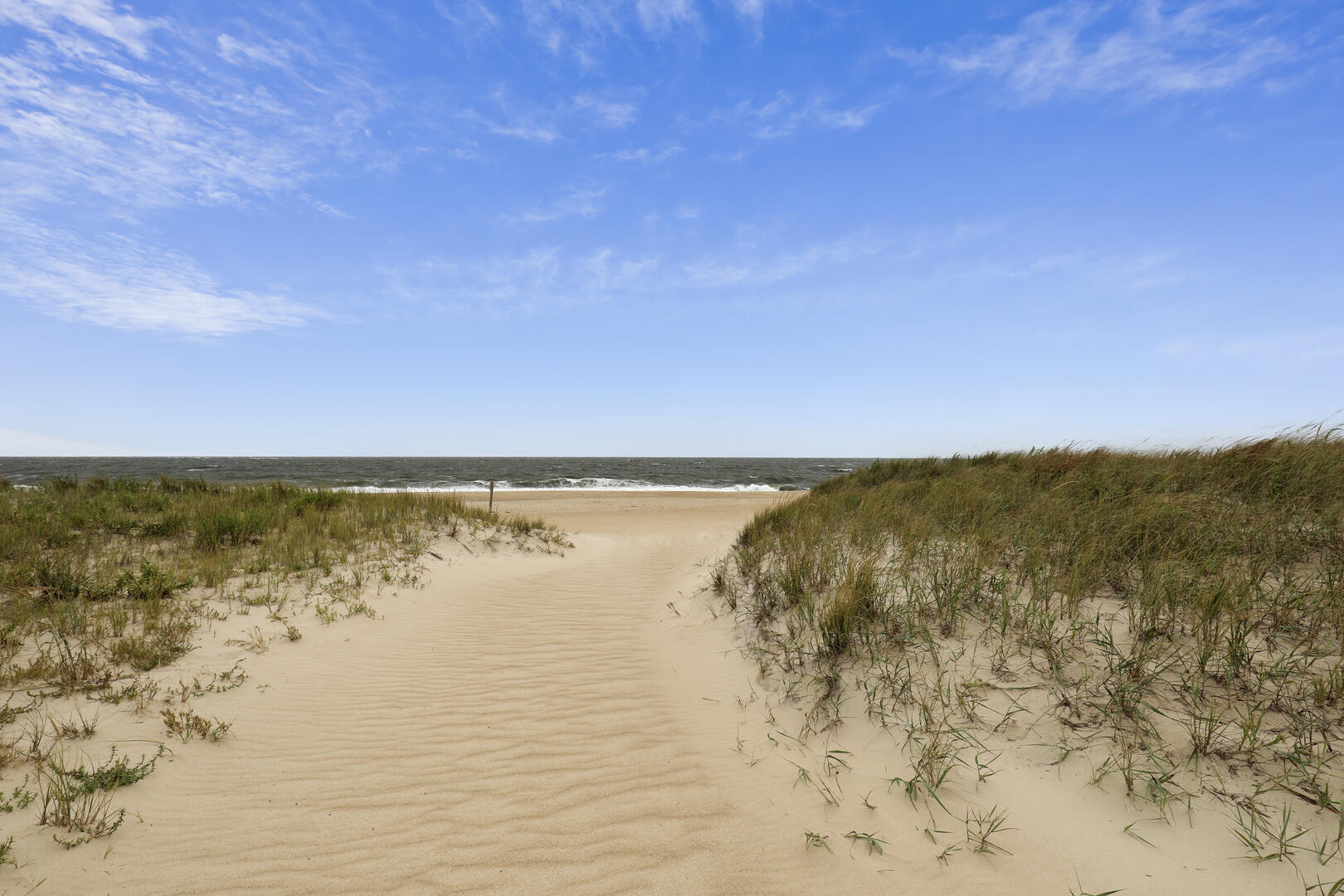 Amenity,Beach,