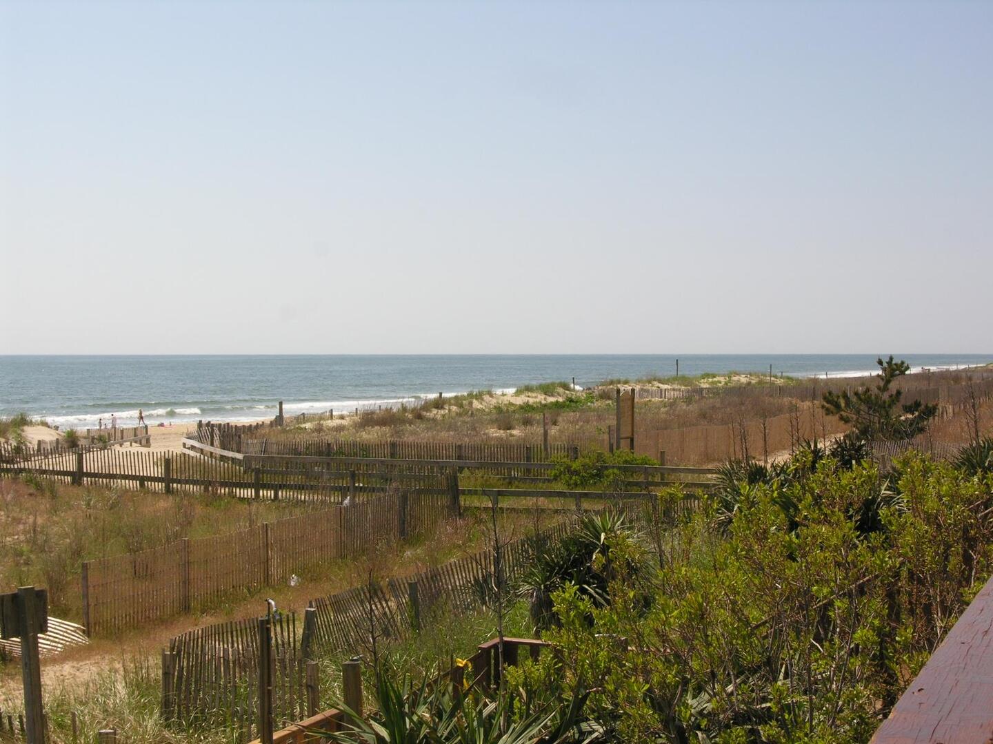 Group,View from Sundeck,
