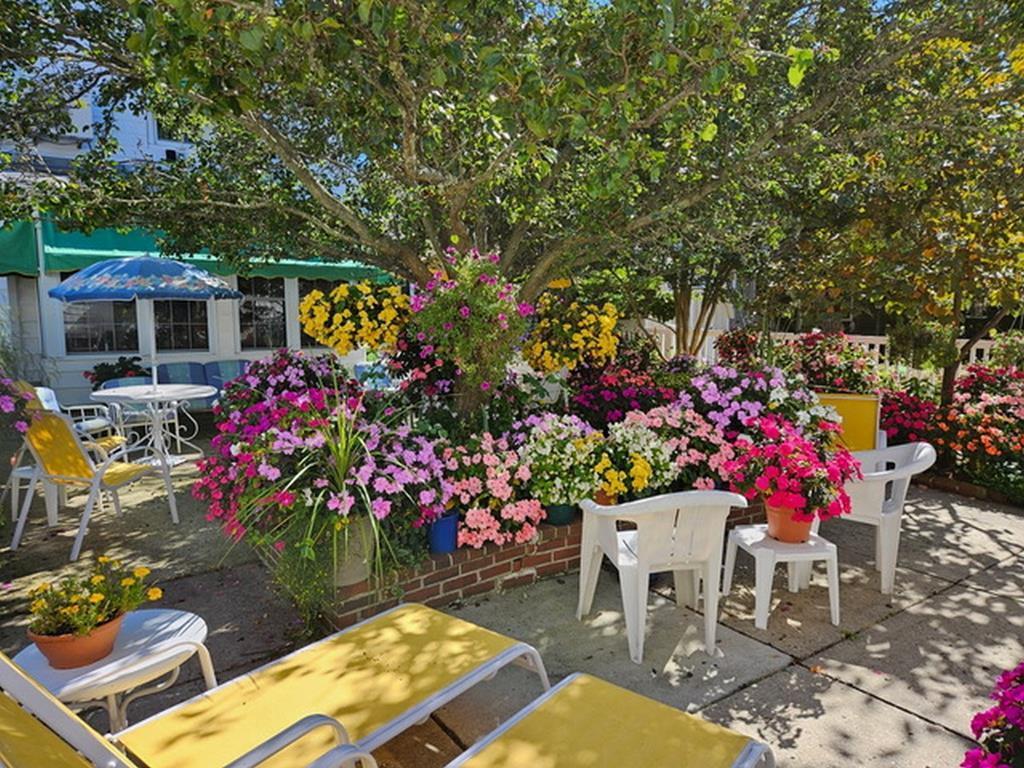 Long & Foster Vacation Rentals-122 Ocean Ave., 2nd Floor-image-1