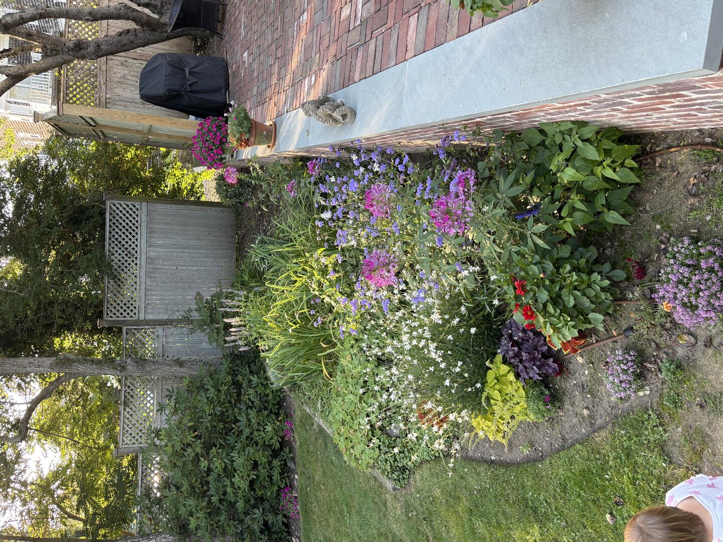 photo 42 rental 17060