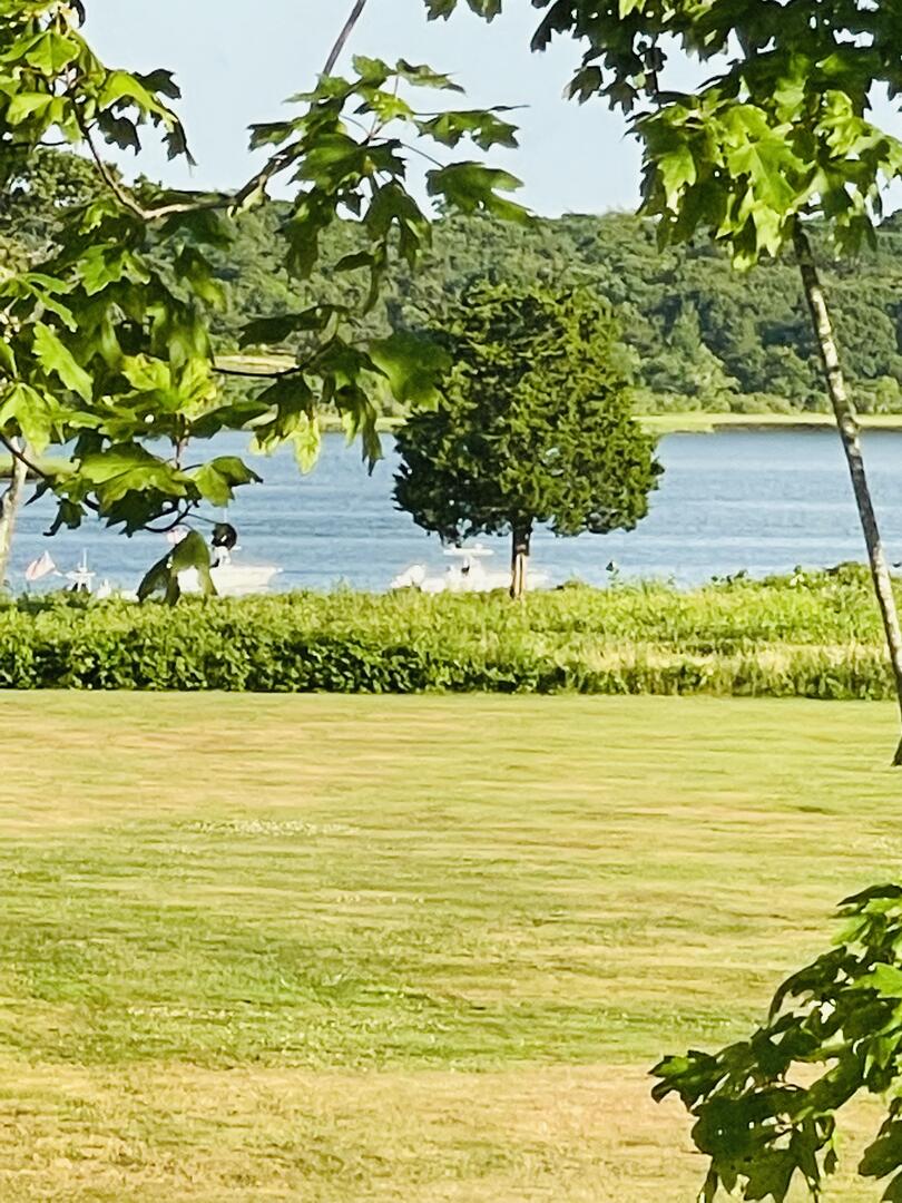 photo 6 rental 17311