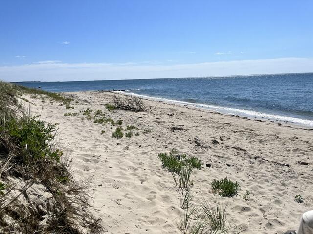 photo 35 rental 4642