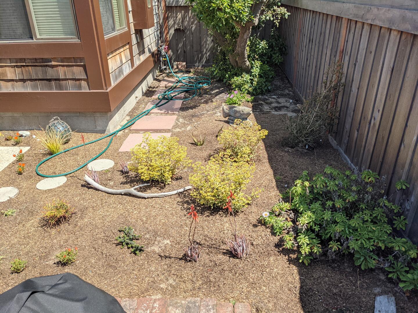 Courtyard Garden