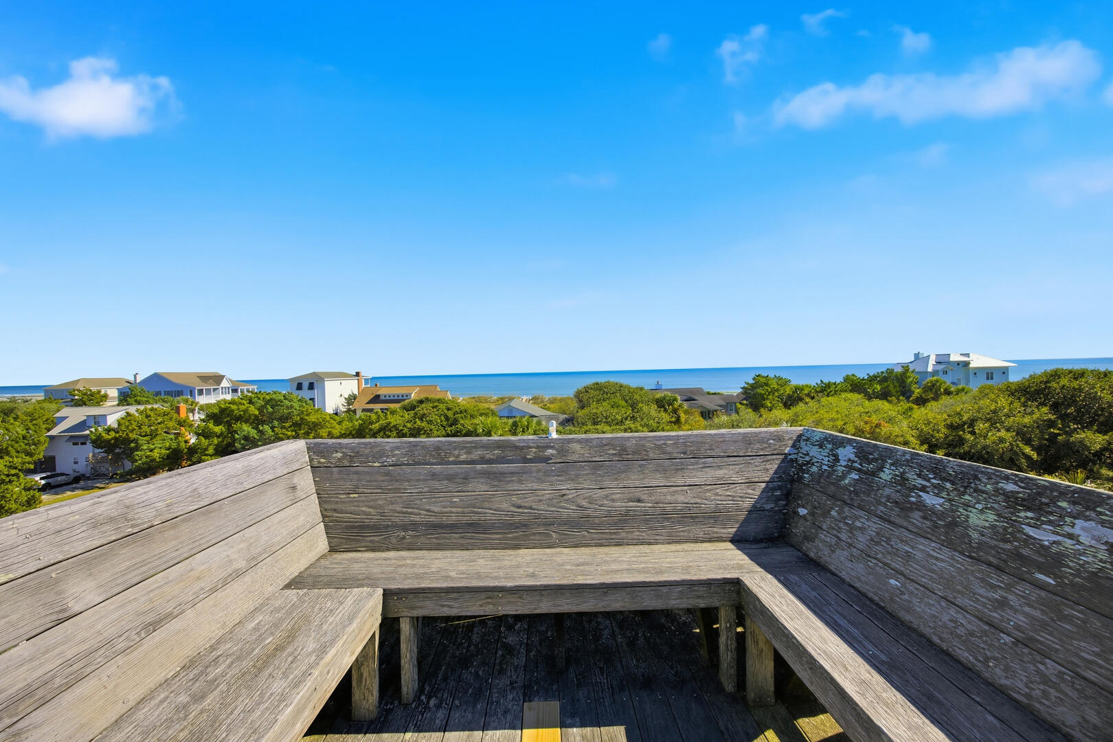 Beach Bones | Photo 47