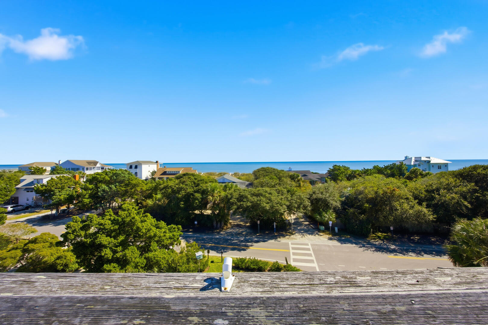 Beach Bones | Photo 48