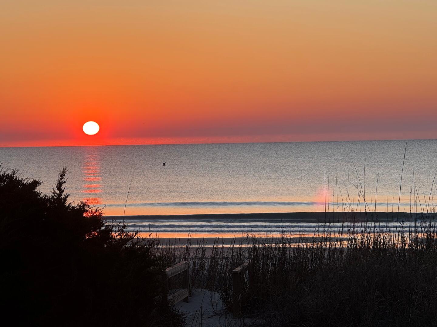 Innisfree | Photo 28