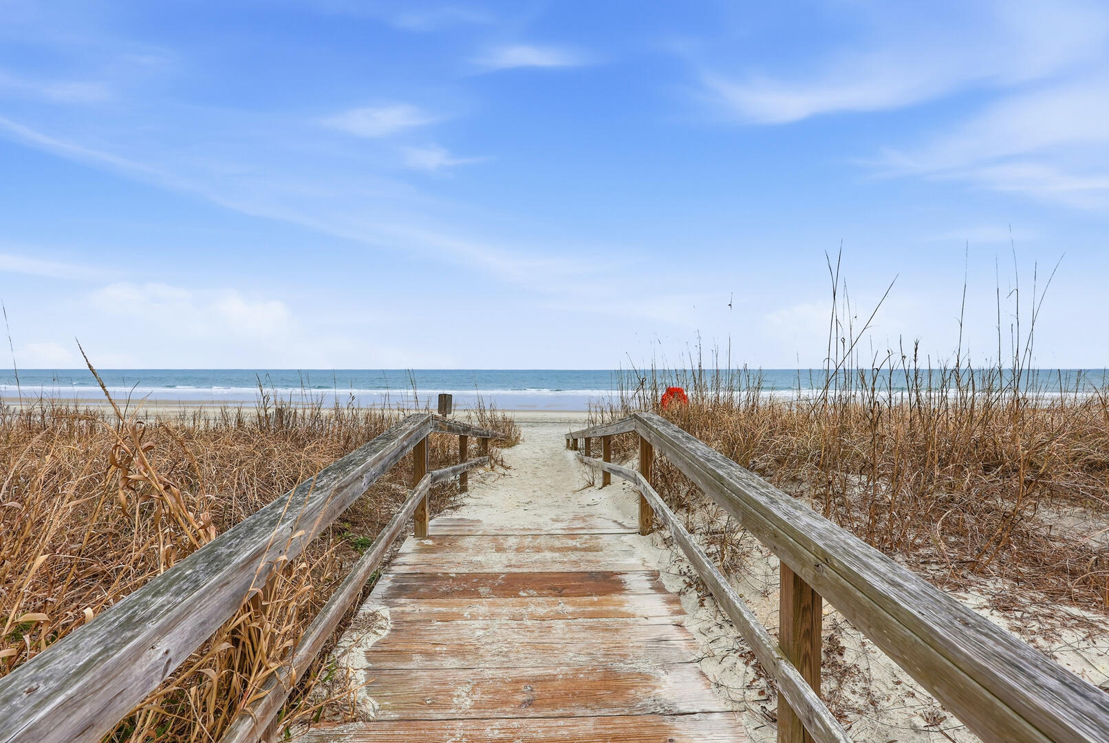 Arrogantly Shabby | Photo 28