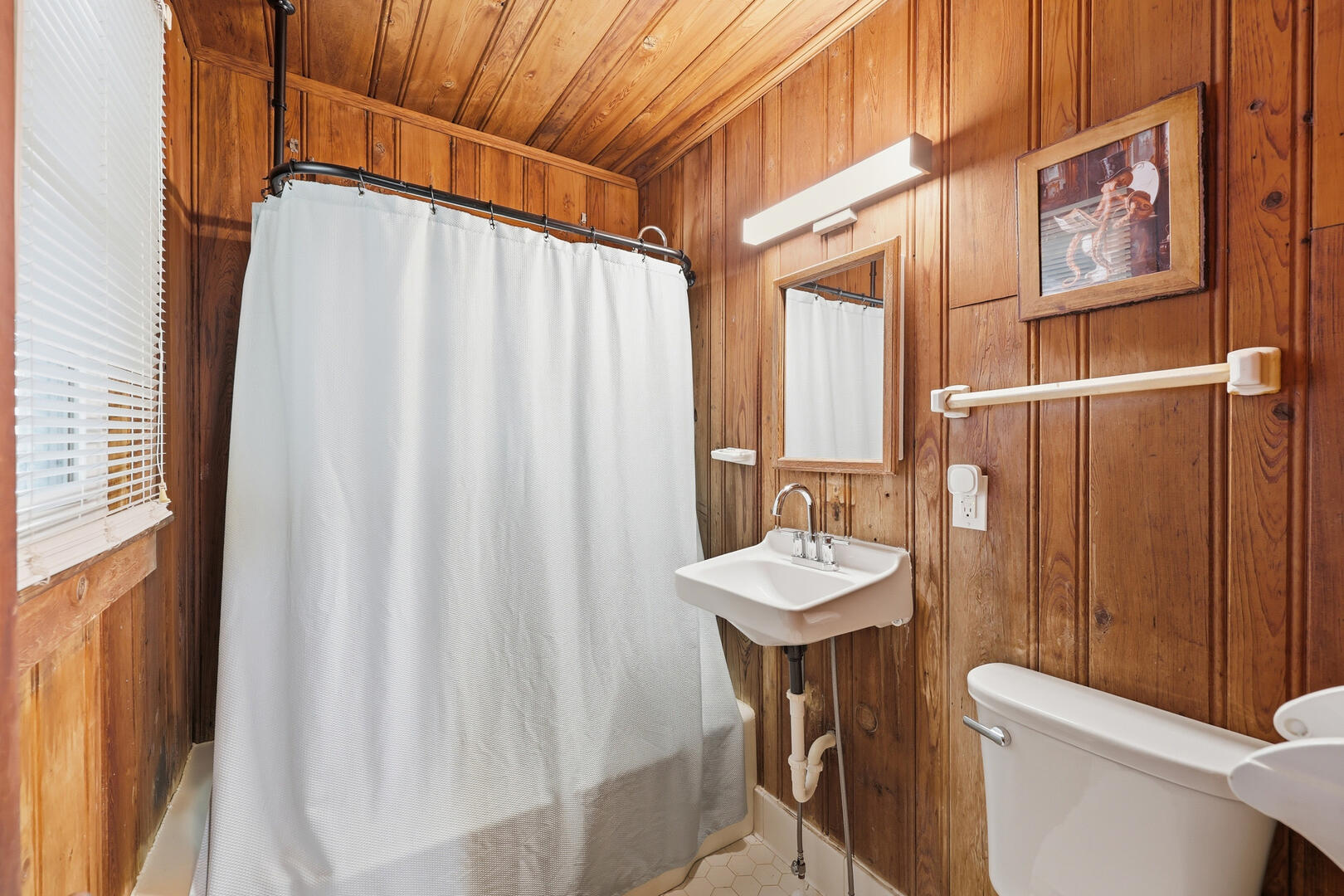 Zorro's Si | Photo 11