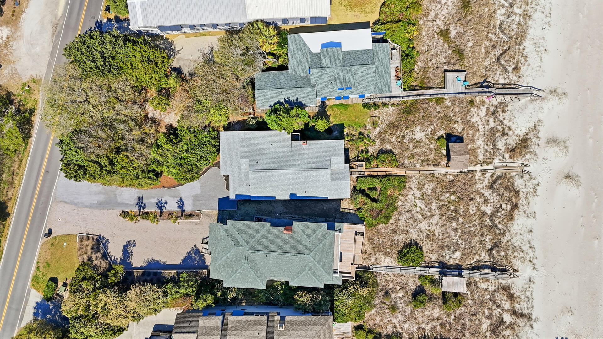 Zorro's Si | Photo 23