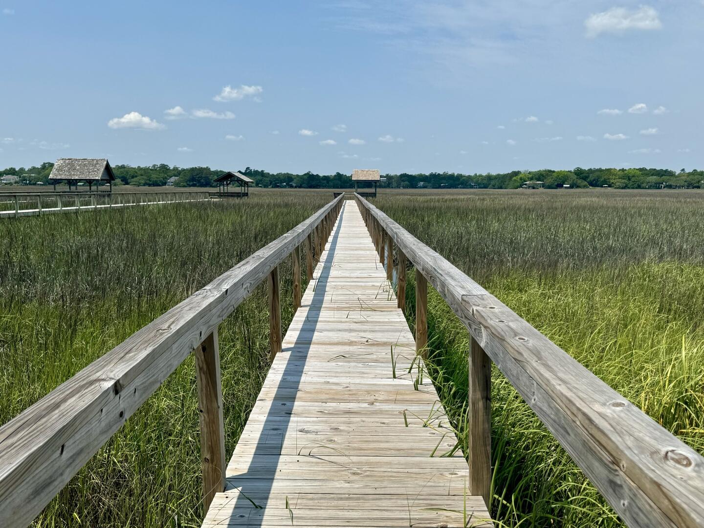 Otis Beach | Photo 590