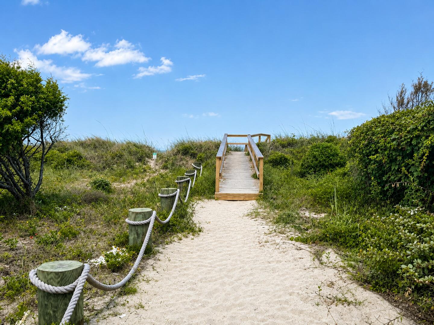 Beach Breezes | Photo 27