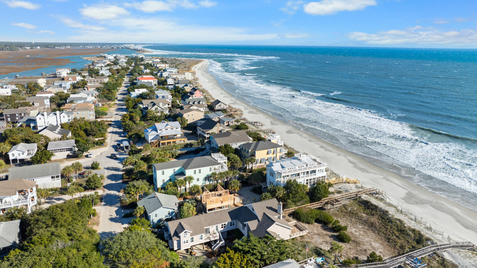 Fins to the Left | Photo 39