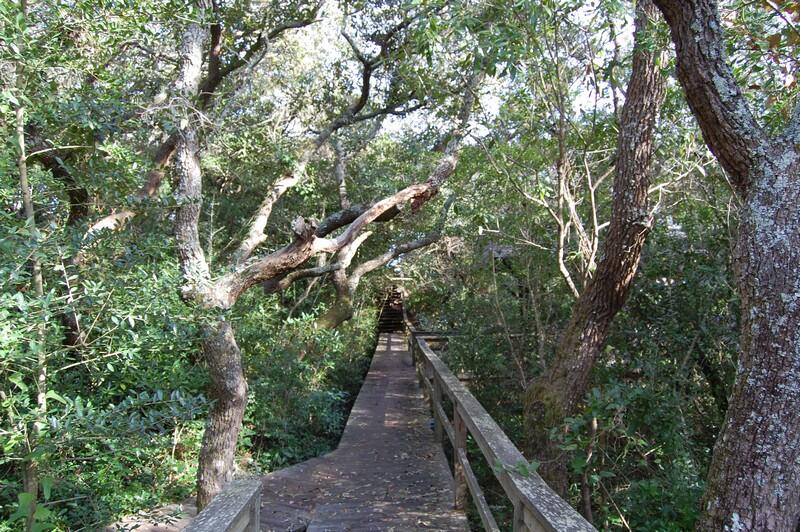 Pelican Inn | Photo 67