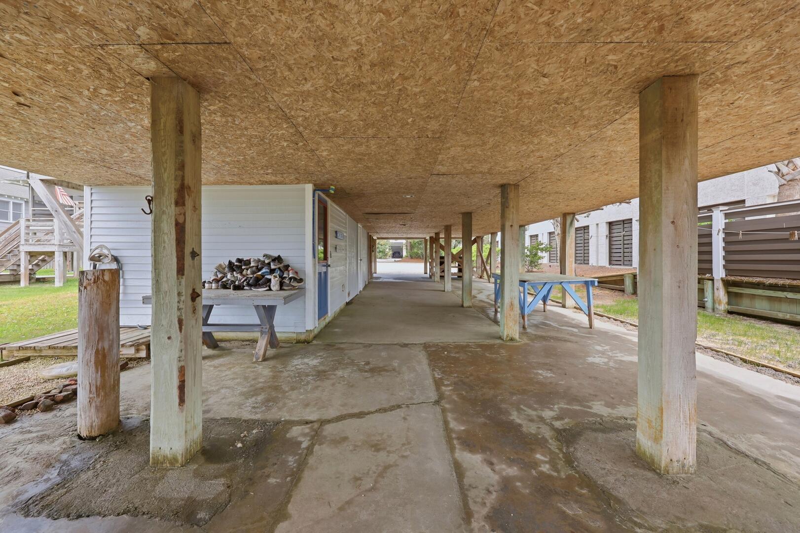 Sandspur | Photo 24