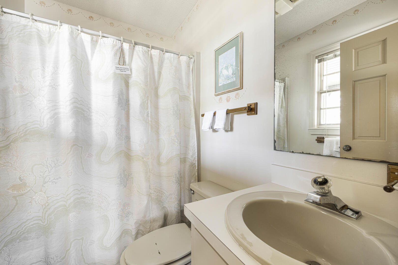 Sea Forever | Photo 41