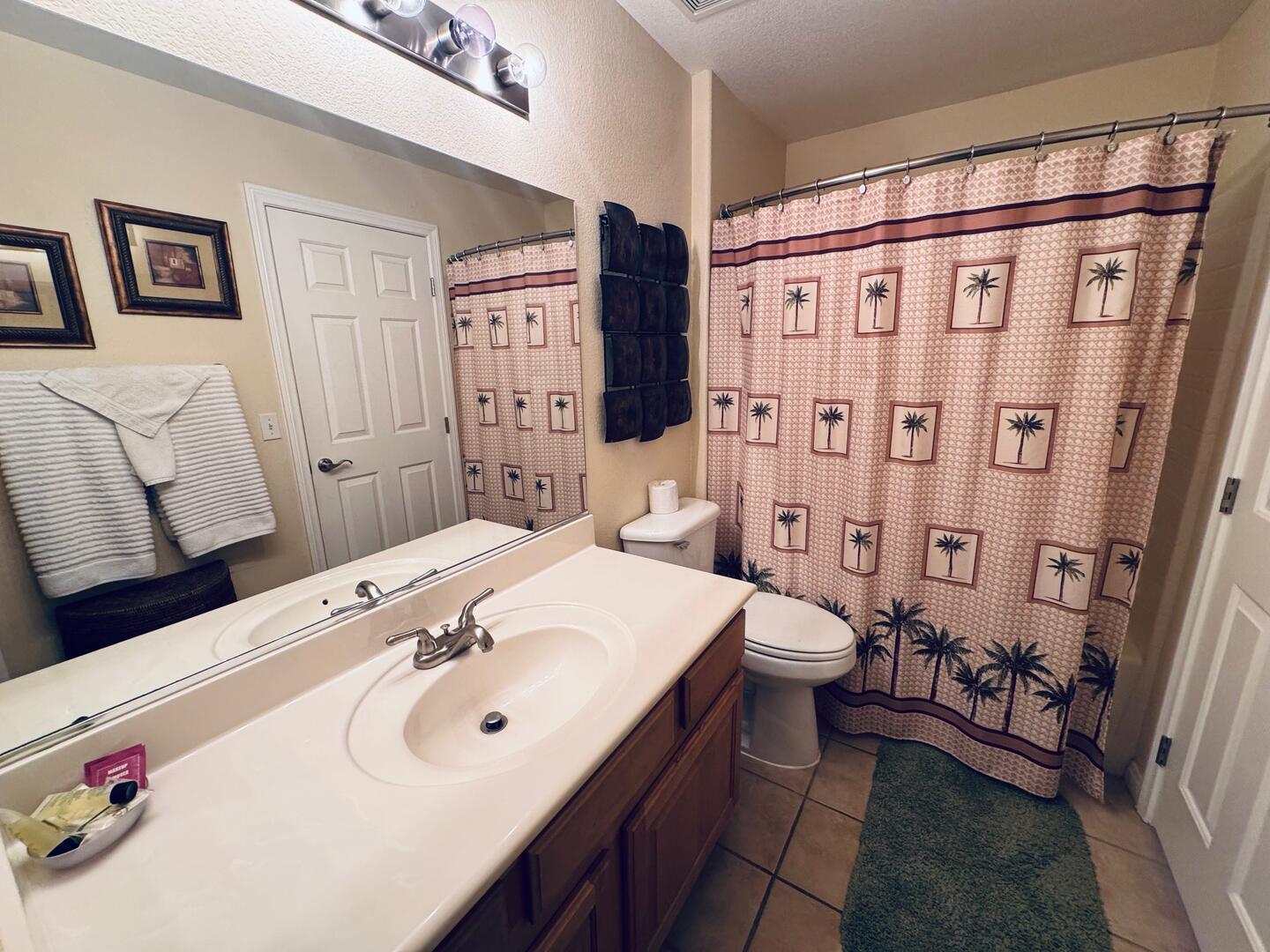 Main Floor Guest Bathroom