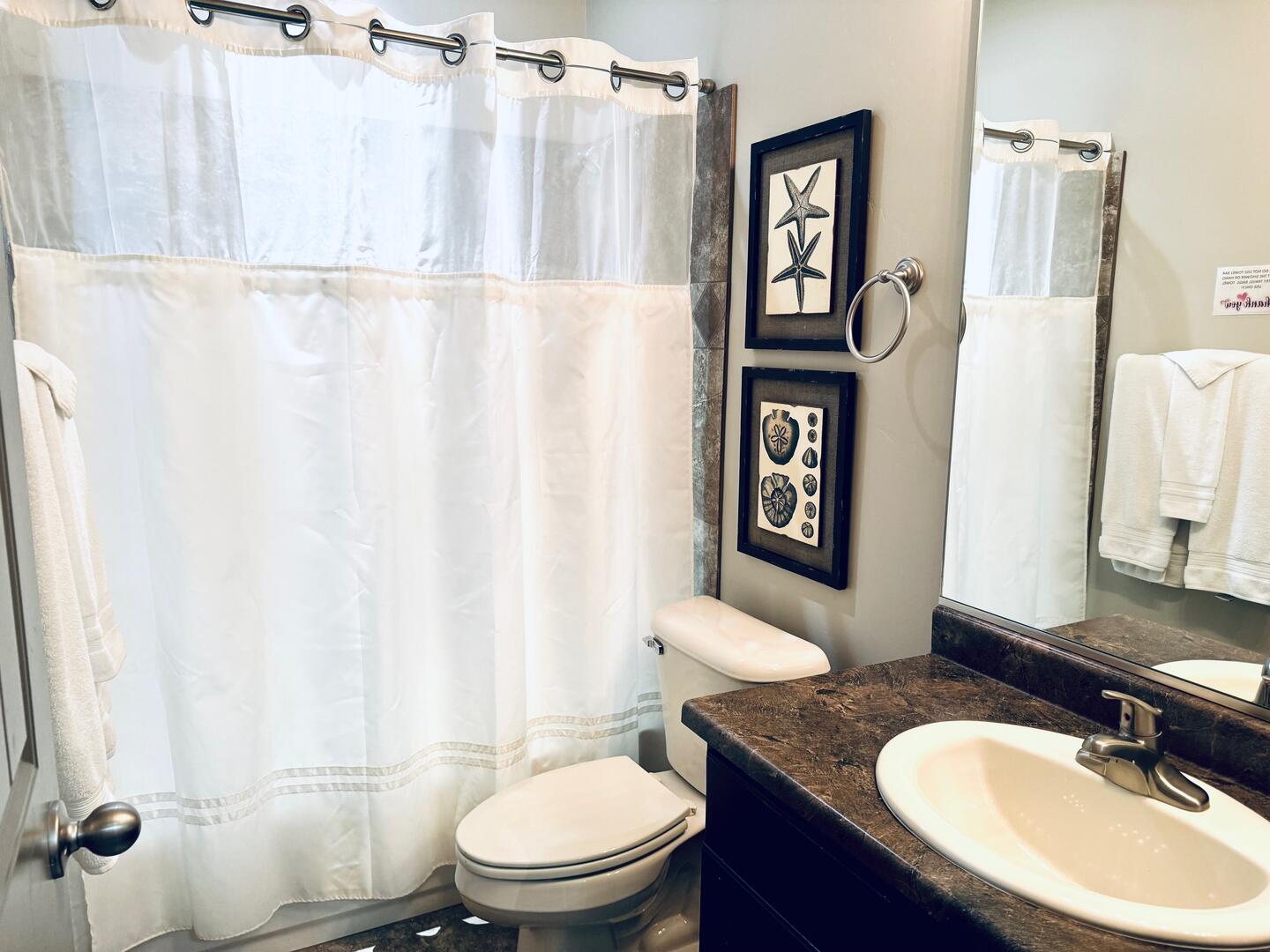 Hallway Guest Bathroom