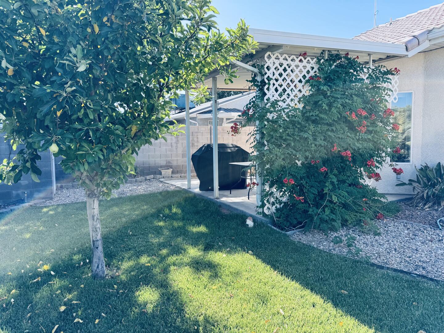 Cherokee Street Home | Photo 27