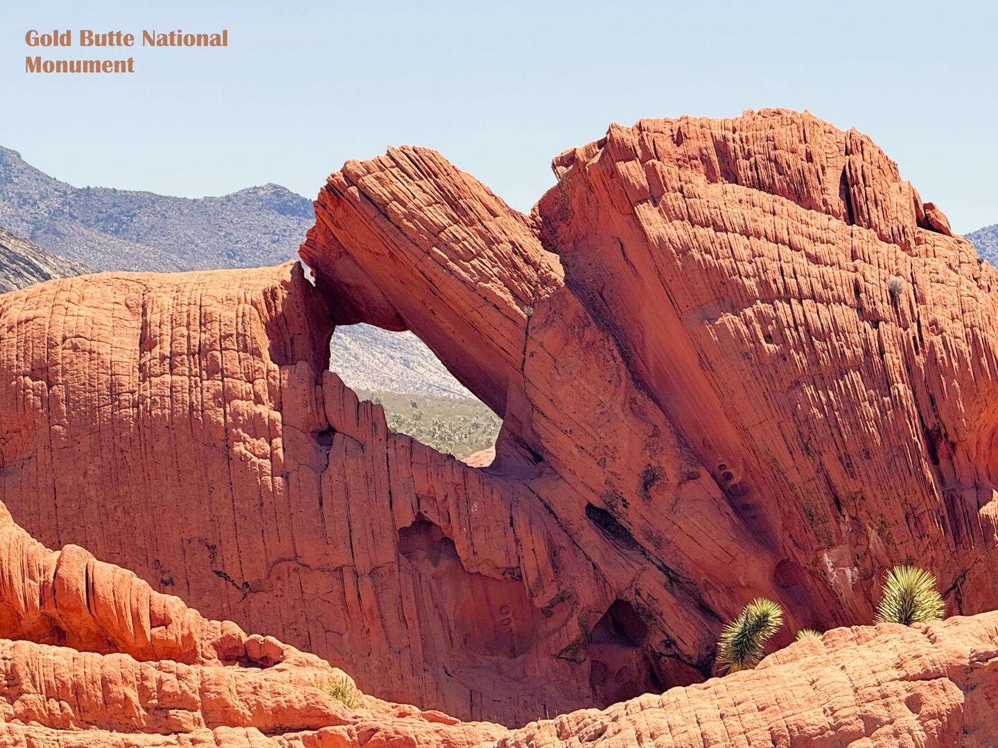 Desert Paradise | Photo 34