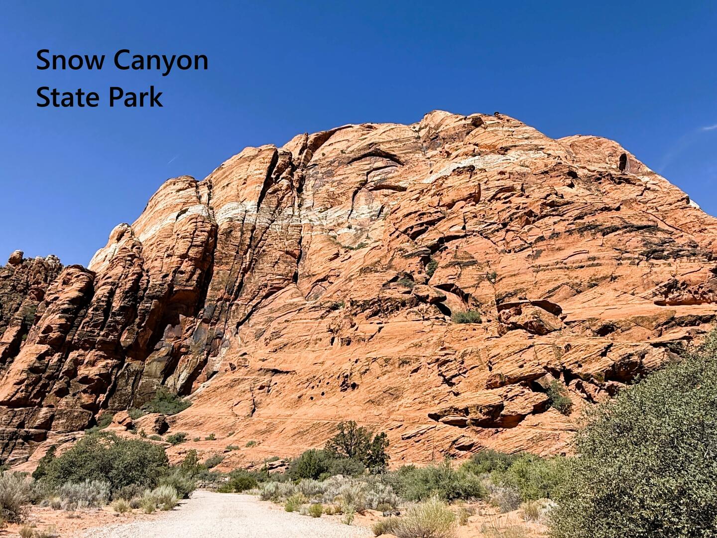 Desert Paradise | Photo 35