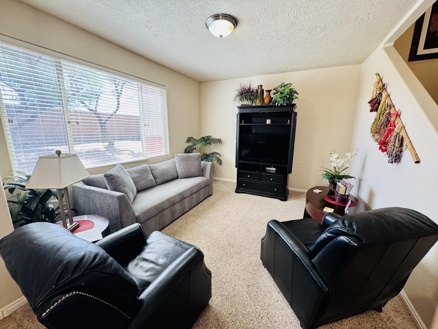 Living Room with TV
