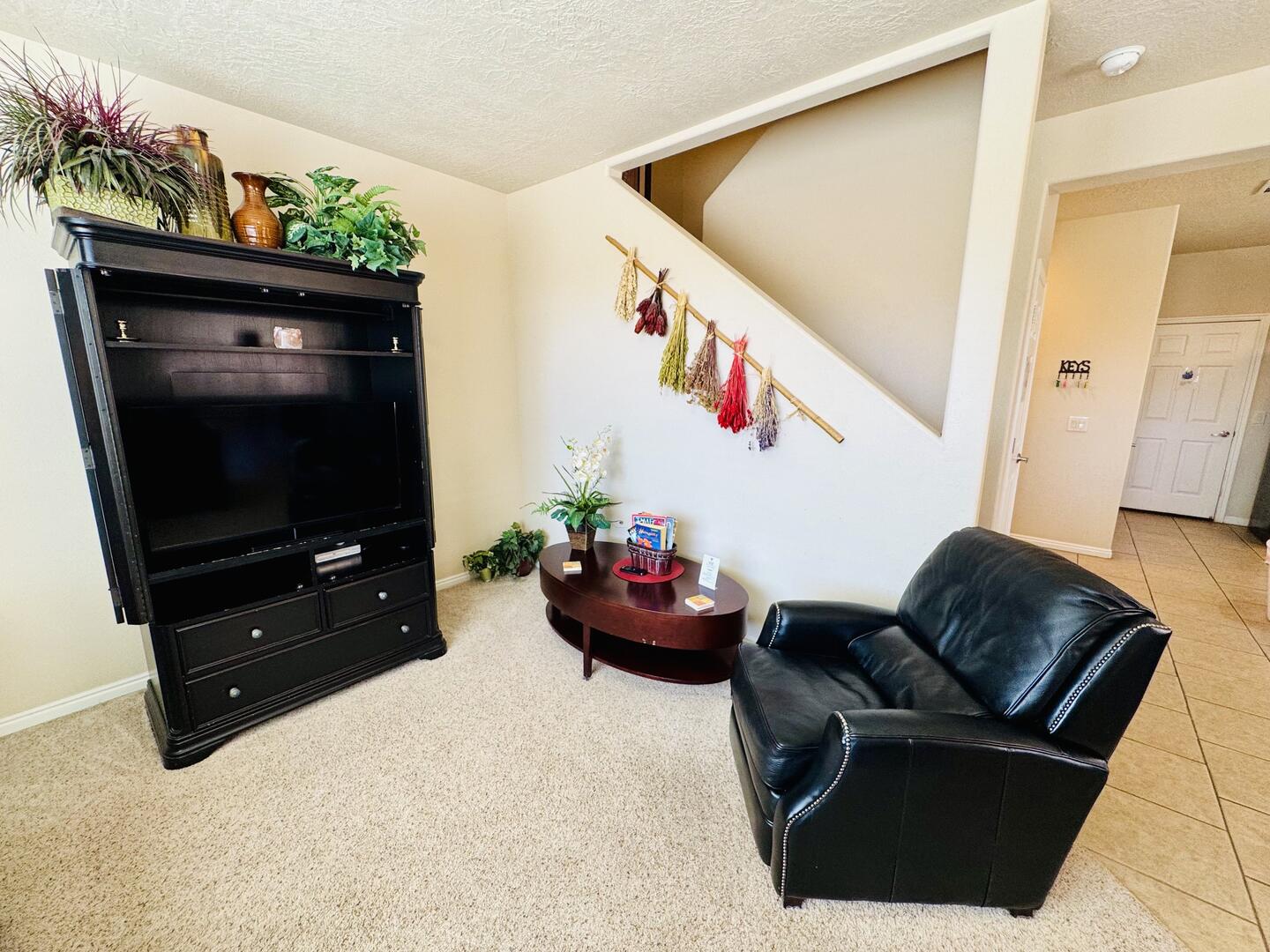 Living Room with TV