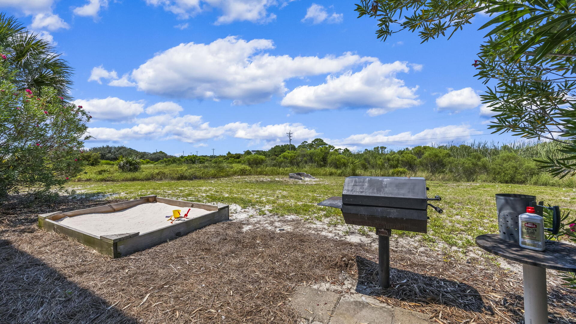 Seas the Moment | Photo 47