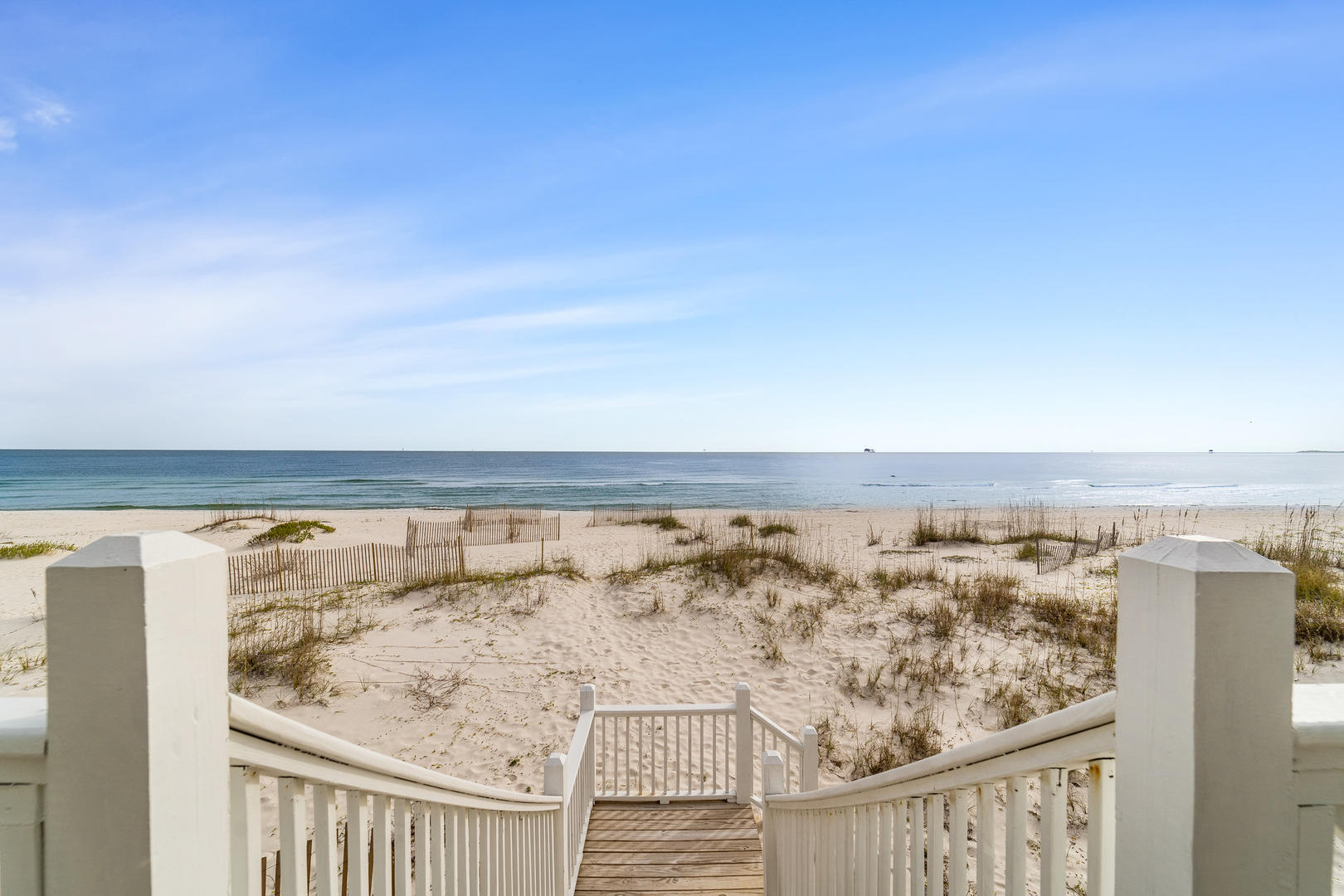 The S.H.E.D (Sun-kissed Happy Easy Days) 4