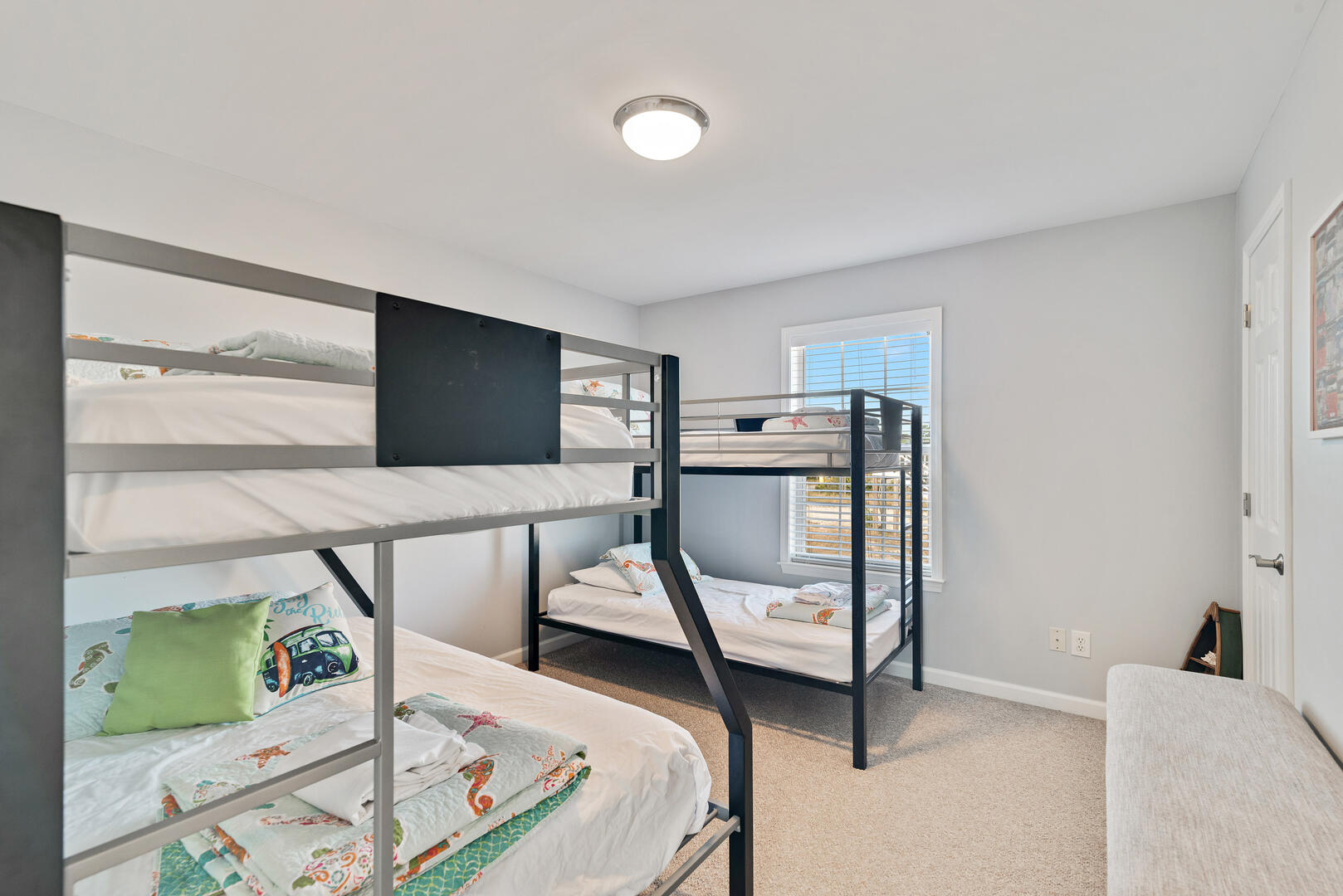 Lonesome Seagull | Photo 17050