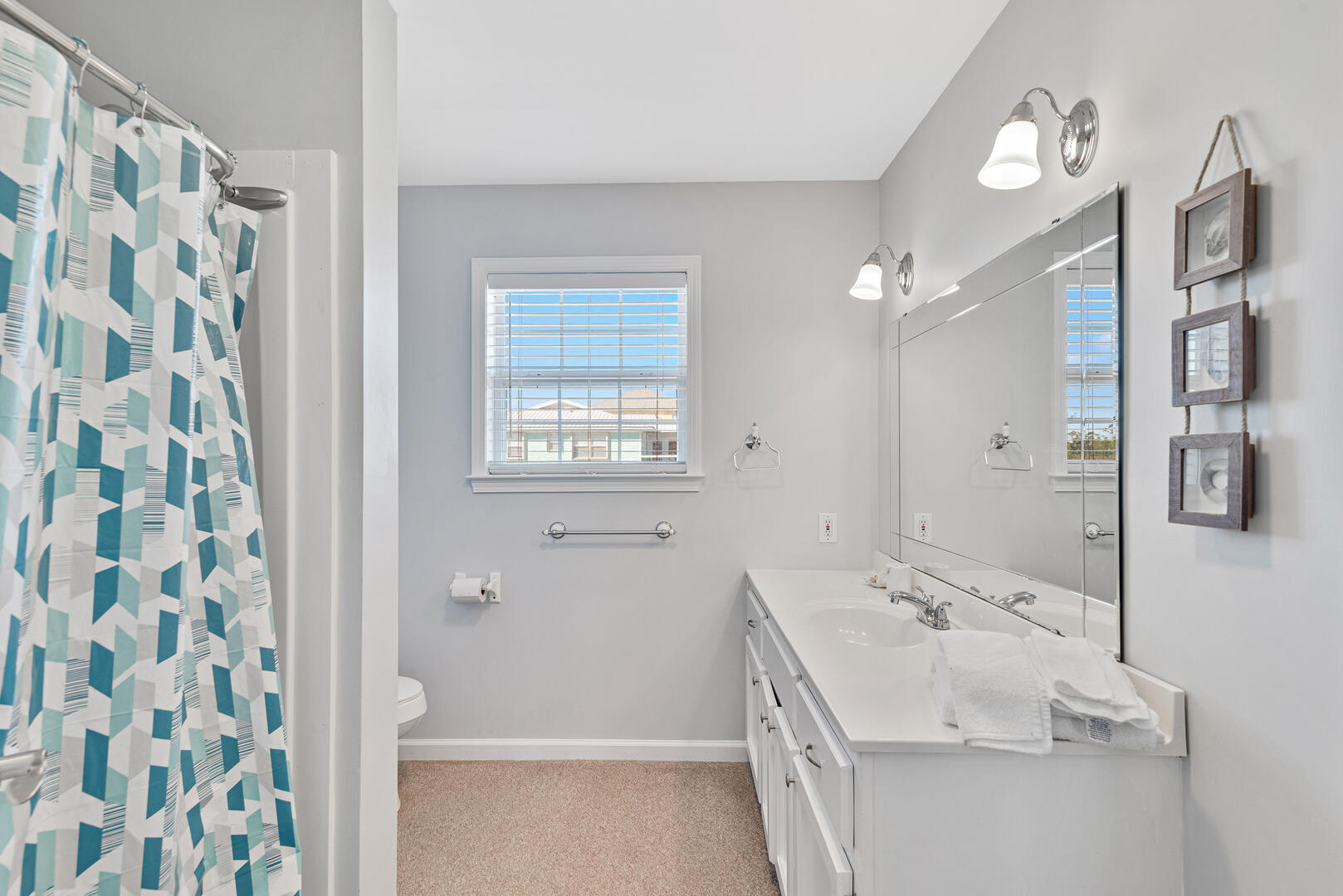 Lonesome Seagull | Photo 22000