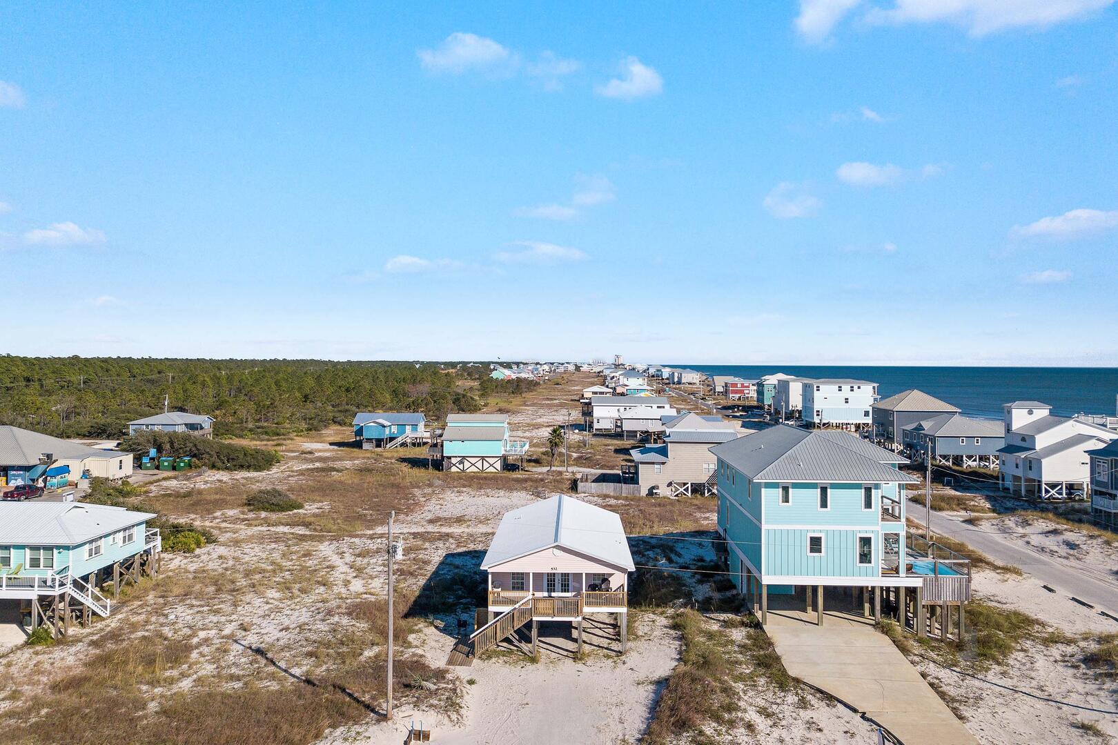 Lonesome Seagull | Photo 32000