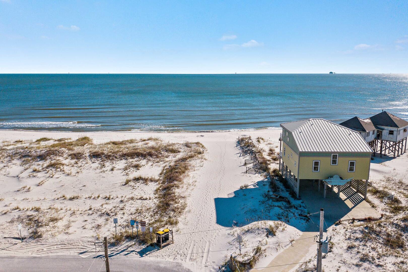 Lonesome Seagull | Photo 34000