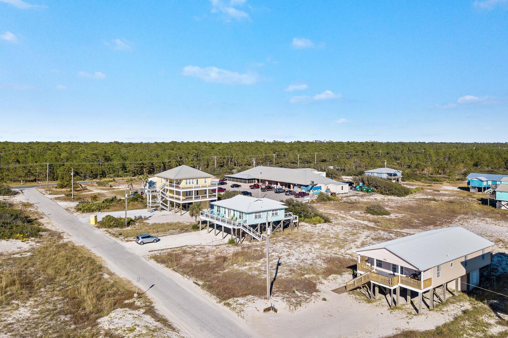 Lonesome Seagull | Photo 35000