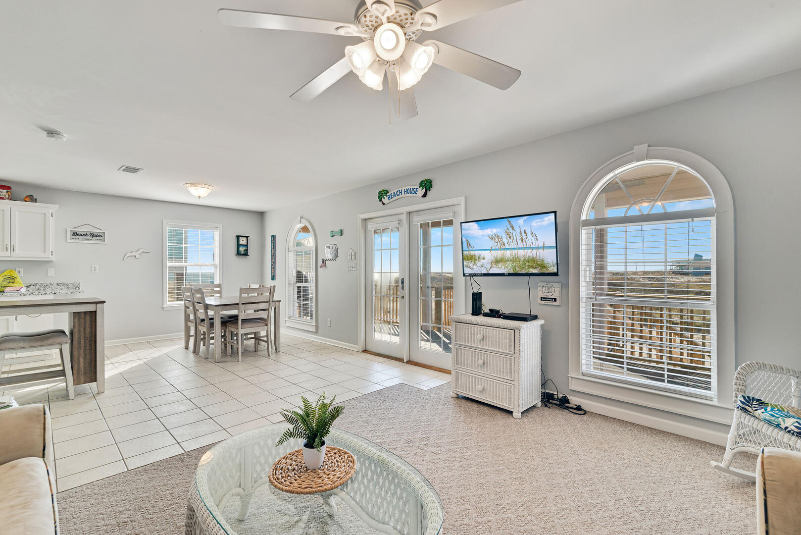 Lonesome Seagull | Photo 300