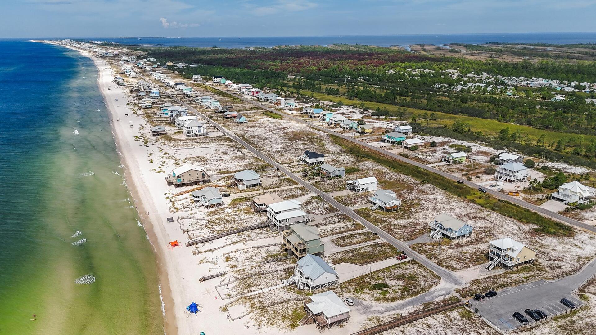 Surfin' Safari | Photo 39000