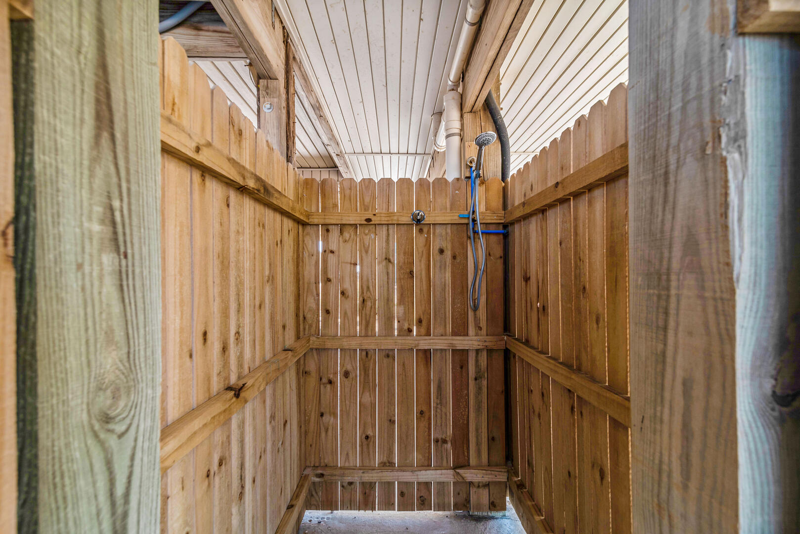 Surfin' Safari | Photo 360