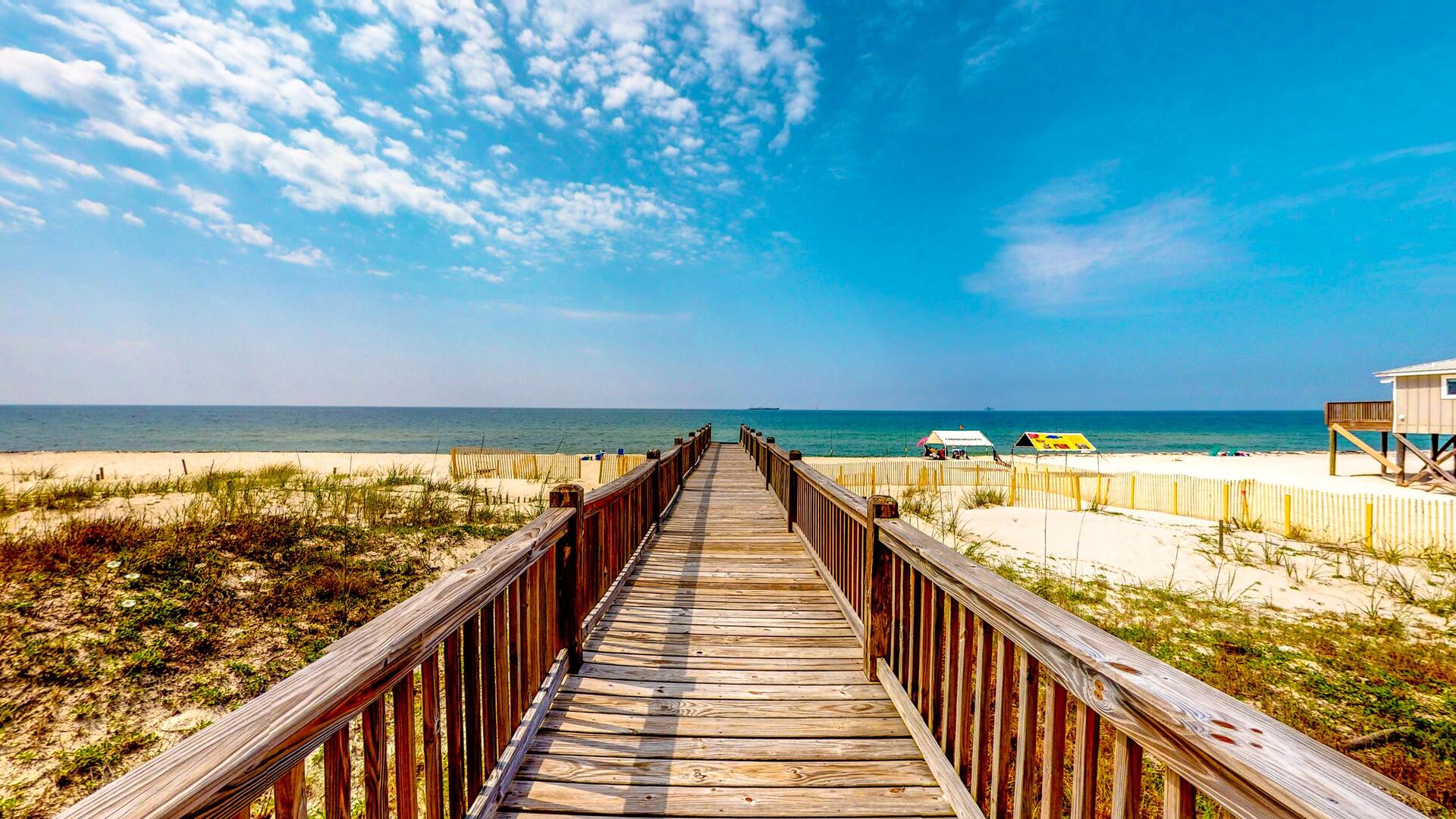 Final Appeal | Photo 20