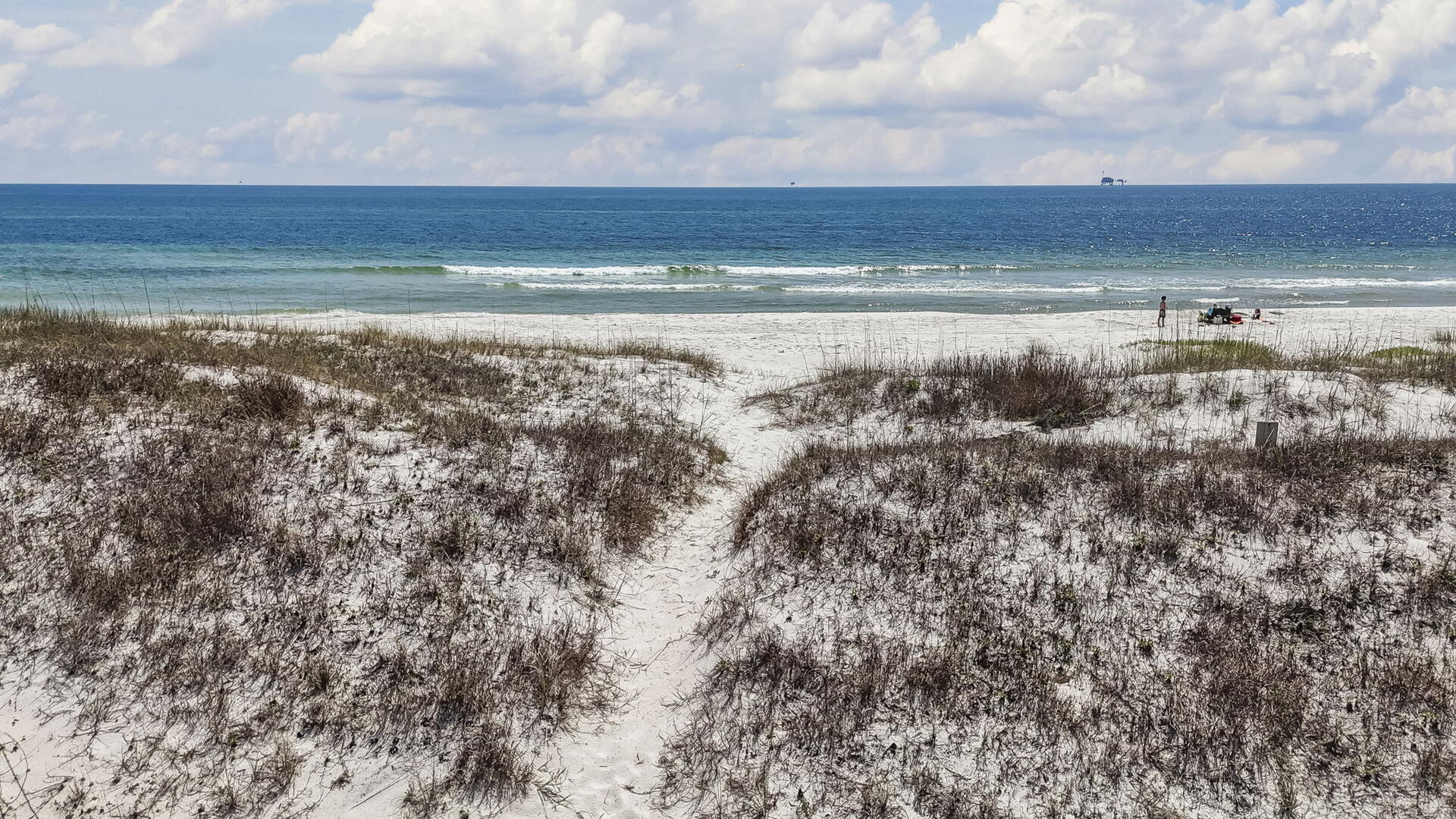 Sugar Magnolia | Photo 15