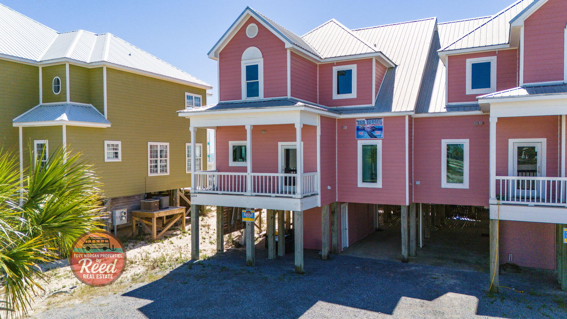 Sea Turtle East #11 3