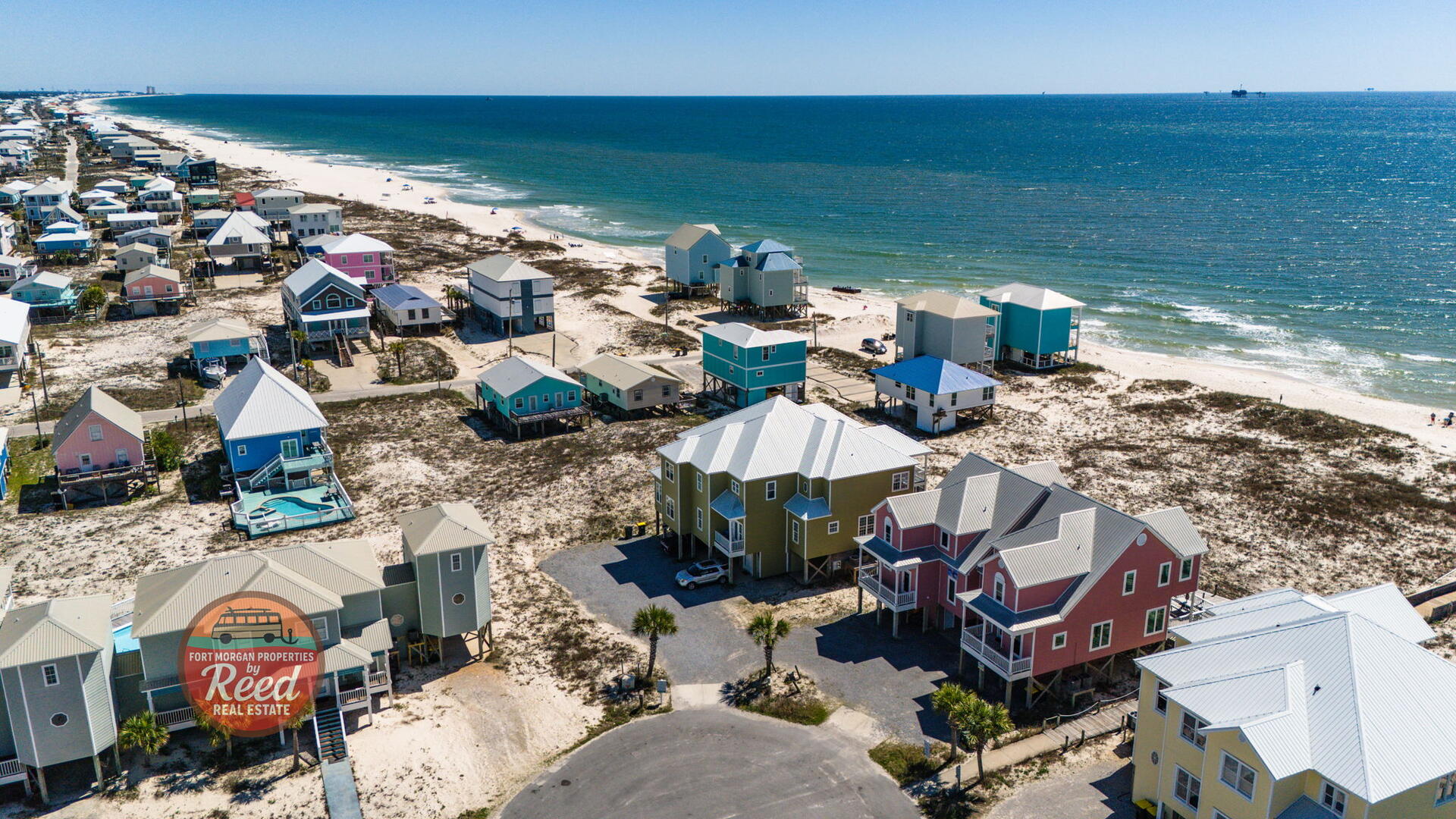 Sea Turtle East #11 6