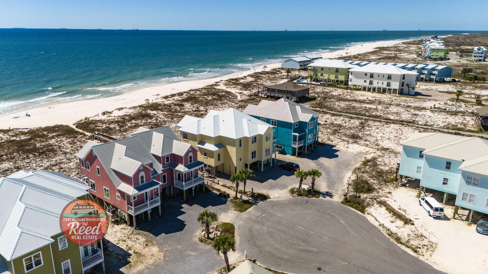 Sea Turtle East #11 | Photo 7