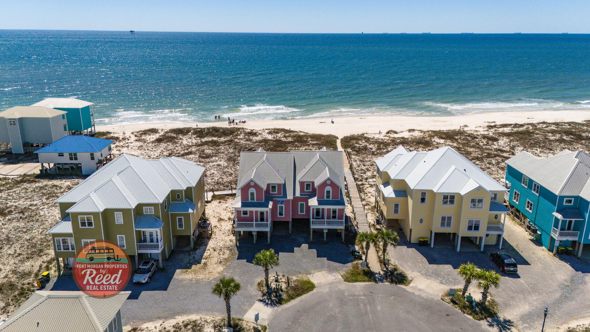 Sea Turtle East #11 | Photo 8