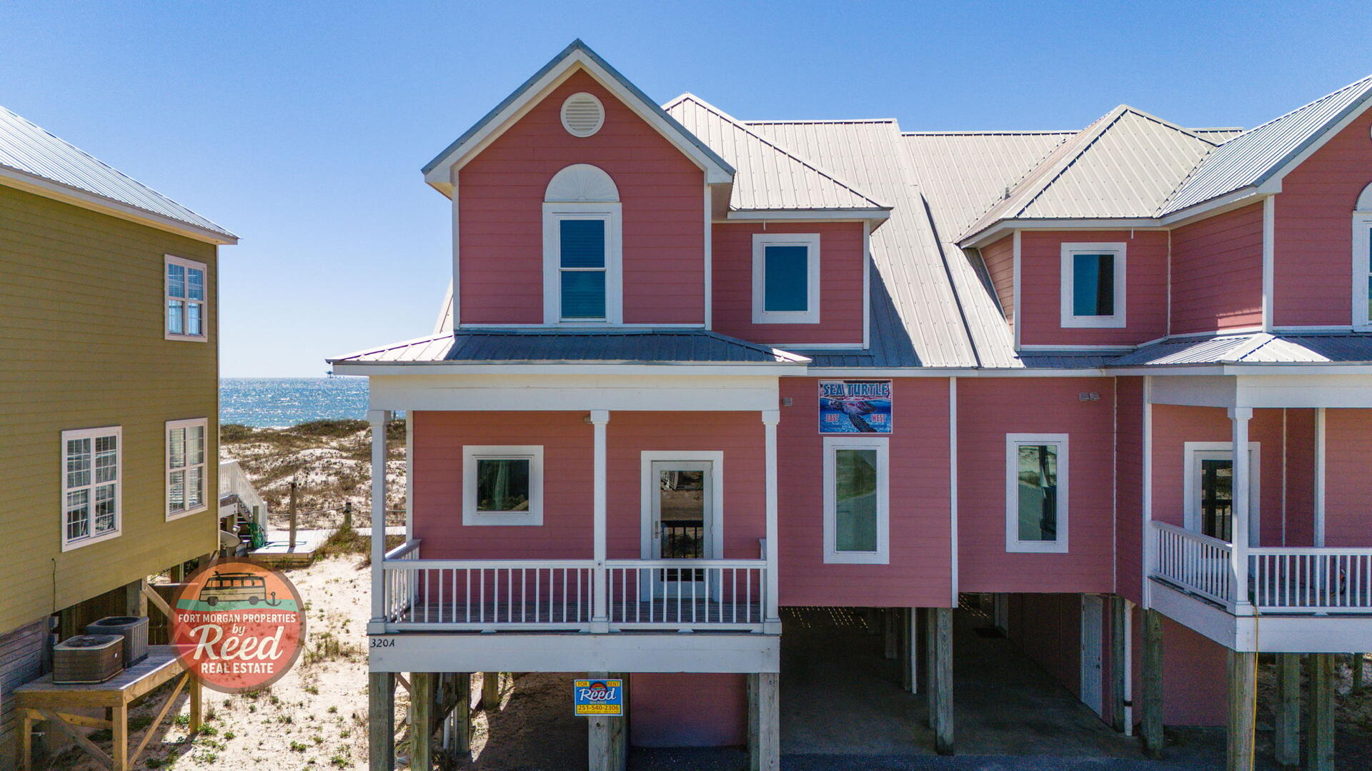 Sea Turtle East #11 5